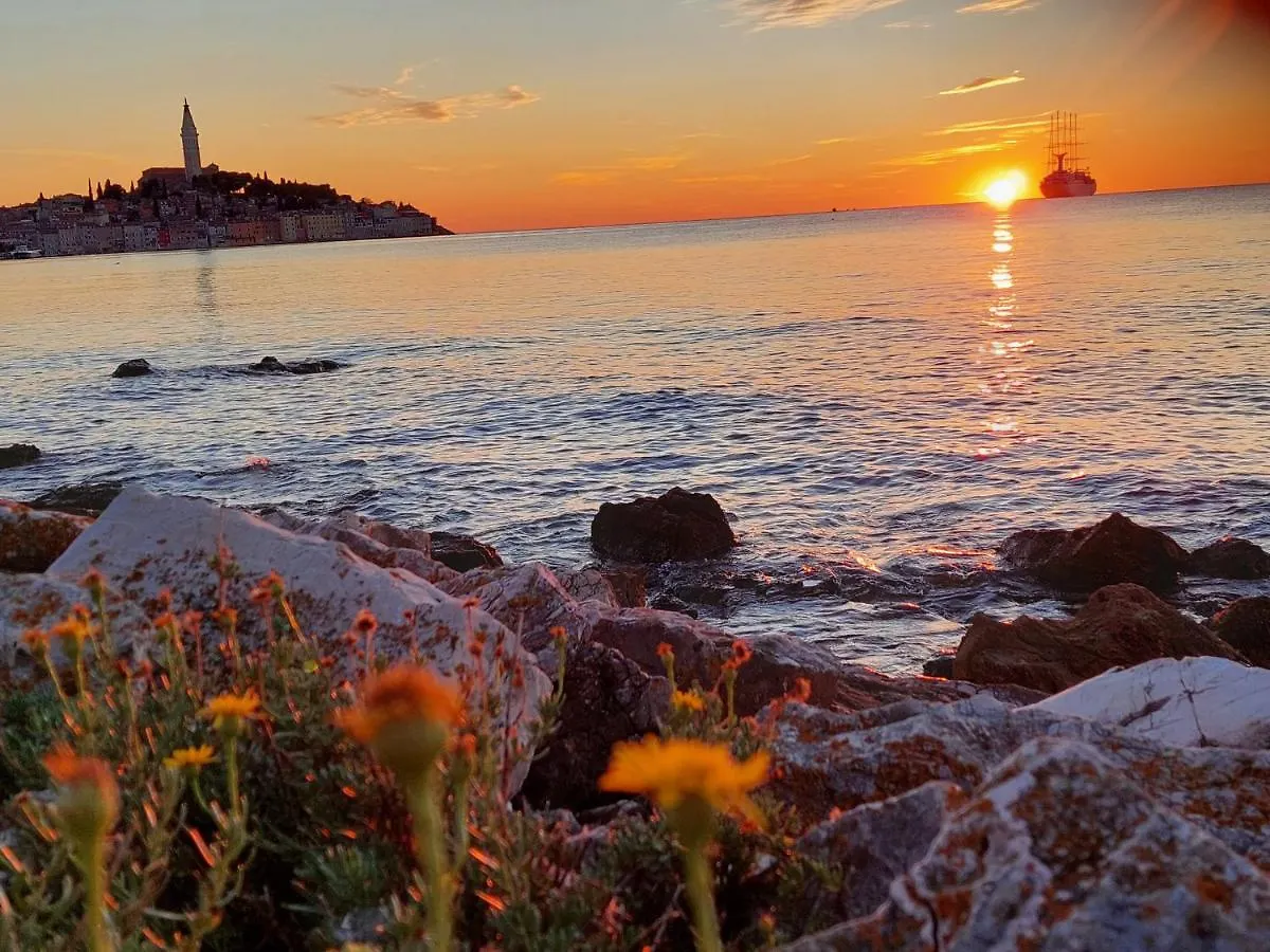 Villa Salvia Rooms And Apartments Rovinj Gasthof
