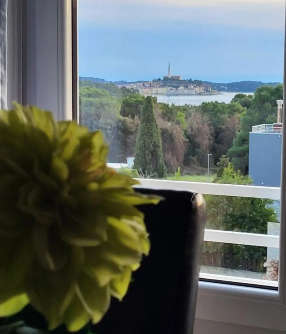 Villa Salvia Rooms And Apartments Rovinj Kroatien